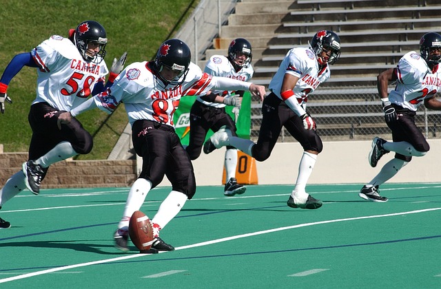 申花可以从 申花可以从