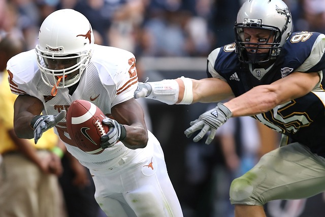 职业生涯的 职业生涯的