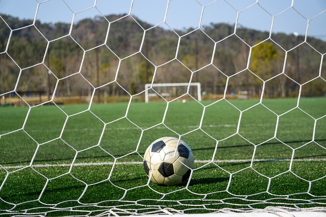 队在赛场上 队在赛场上