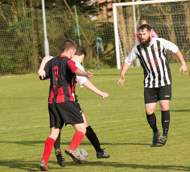 球队的整体 球队的整体