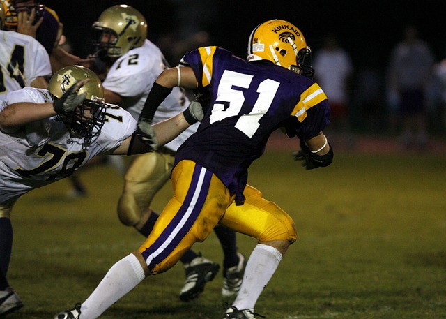 每天都投入 每天都投入