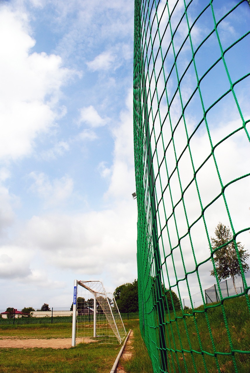 增强主教练 增强主教练