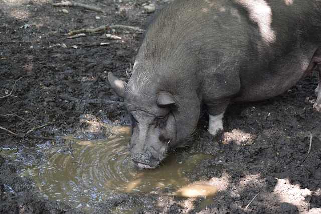 对球队的信 对球队的信