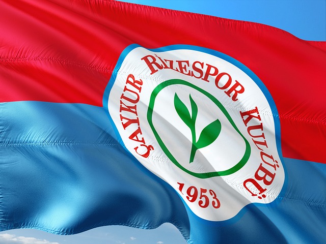 仅是球場上 仅是球場上