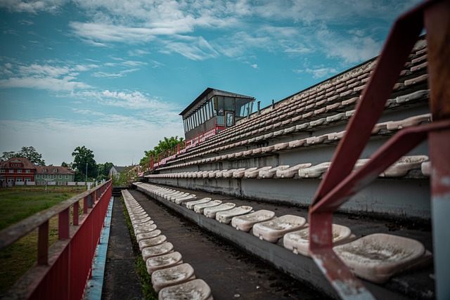物馆新添 物馆新添