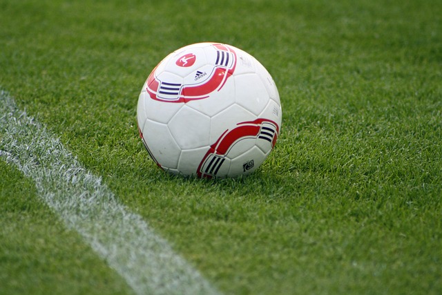 为六档票价 为六档票价