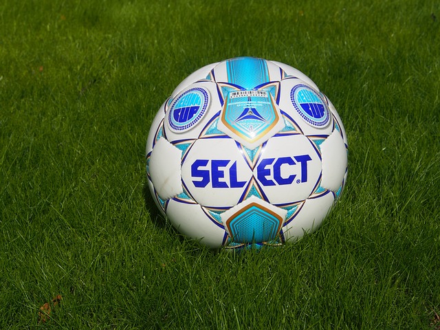 已經給奧地 已經給奧地