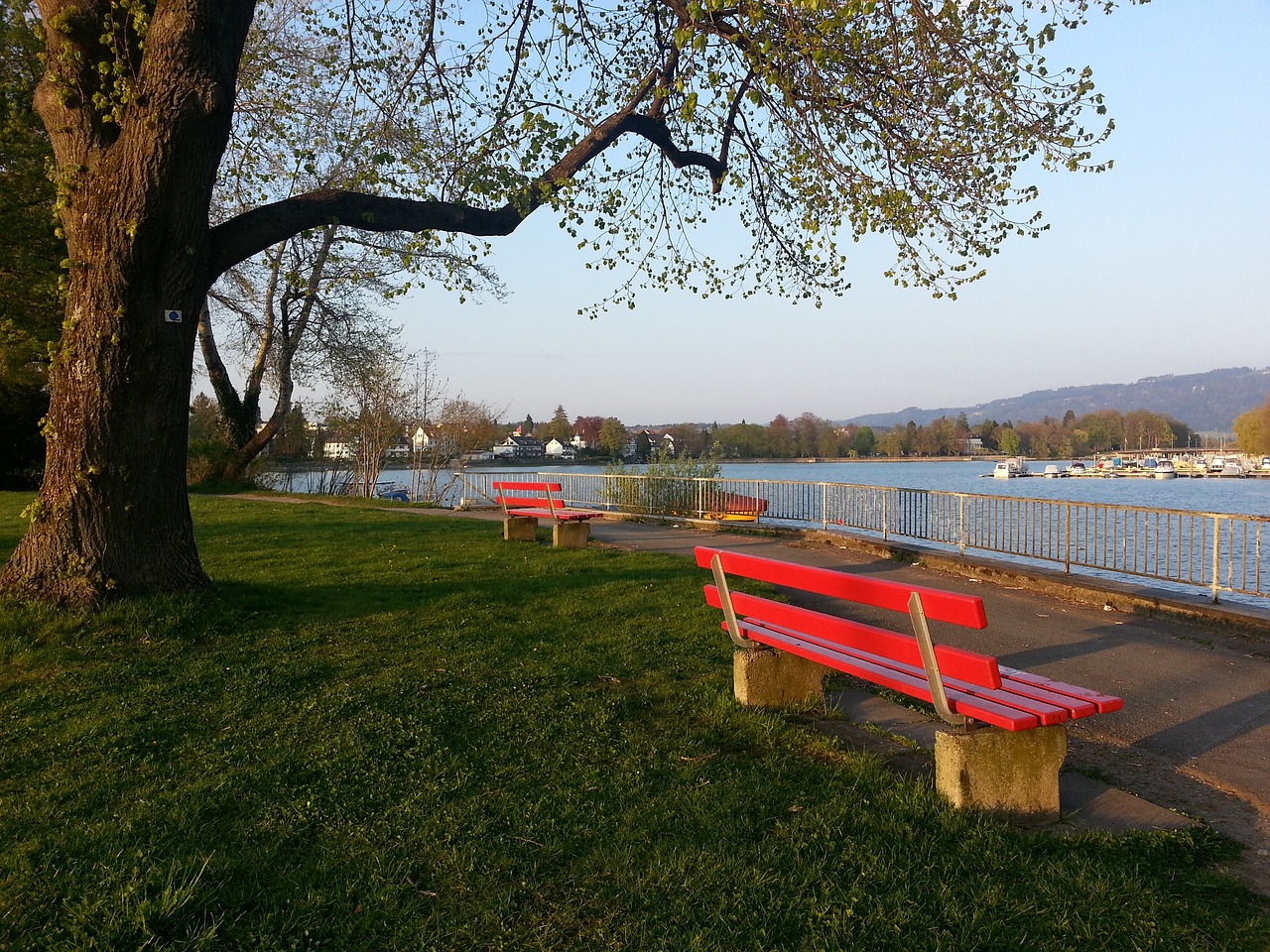 這一成功案 這一成功案